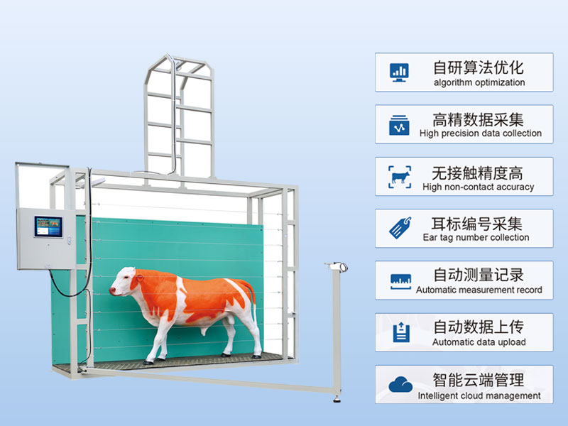牛体尺智能测量设备