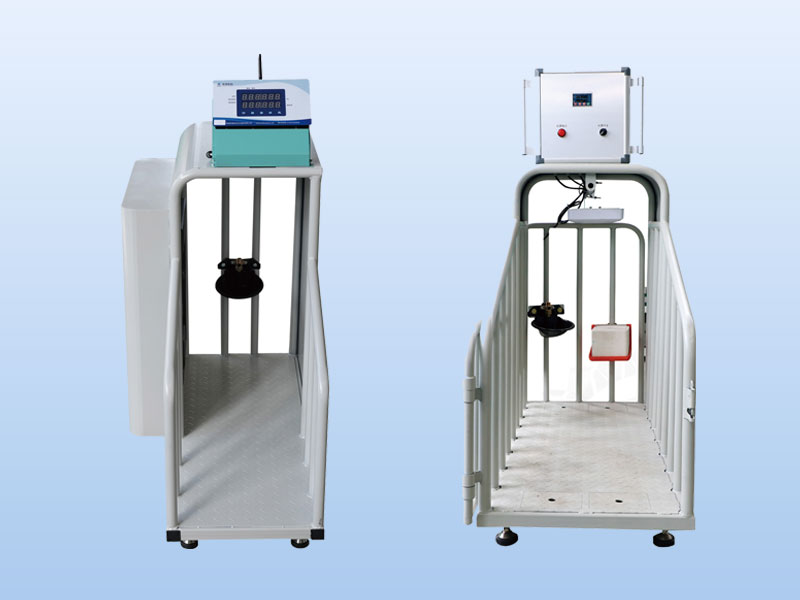 羊只智能饮水称重设备